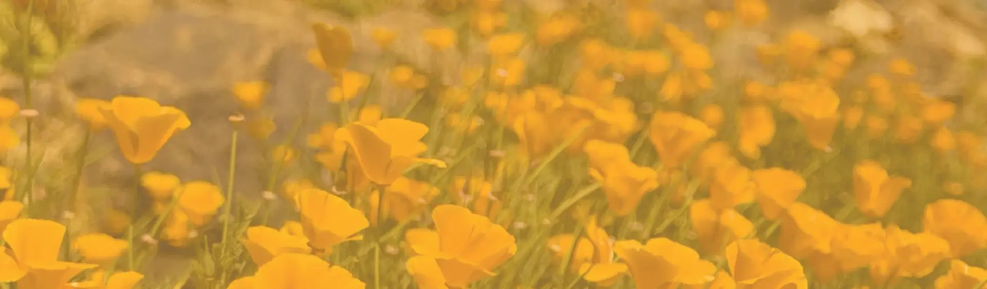 interior Our People banner image