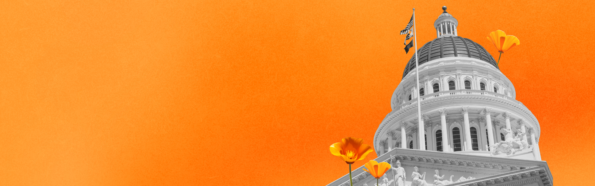 interior Take Action banner image